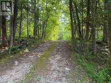 50 SOUTH FORK DRIVE | Coboconk Ontario | Slide Image Twenty-two