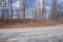 673 BUCKSHOT LAKE ROAD | Addington Highlands Ontario | Slide Image Ten
