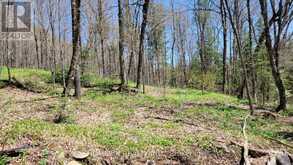 673 BUCKSHOT LAKE ROAD | Addington Highlands Ontario | Slide Image Five
