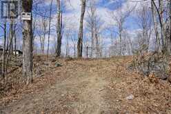 673 BUCKSHOT LAKE ROAD | Addington Highlands Ontario | Slide Image Nine