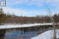 PT LT 48 CONCESSION 3 ROAD | Priceville Ontario | Slide Image Three