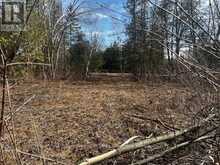 122-123 RIVERVIEW BEACH ROAD | Georgina Ontario | Slide Image Eight