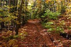 PART LOT 25 CONCESSION 1 | Bracebridge Ontario | Slide Image Four
