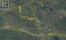 50 ACRES IN MUSKOKA NORTH OF BALA - PCL 31045 | Bala Ontario | Slide Image Fourteen