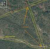 50 ACRES IN MUSKOKA NORTH OF BALA - PCL 31045 | Bala Ontario | Slide Image Fifteen