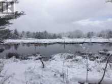50 ACRES IN MUSKOKA NORTH OF BALA - PCL 31045 | Bala Ontario | Slide Image Nineteen