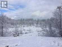 50 ACRES IN MUSKOKA NORTH OF BALA - PCL 31045 | Bala Ontario | Slide Image Twenty-three