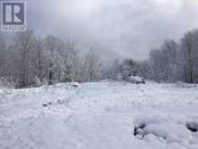 50 ACRES IN MUSKOKA NORTH OF BALA - PCL 31045 | Bala Ontario | Slide Image Twenty-four