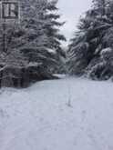 50 ACRES IN MUSKOKA NORTH OF BALA - PCL 31045 | Bala Ontario | Slide Image Twenty-five