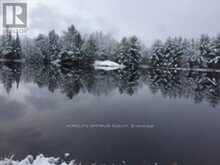 50 ACRES IN MUSKOKA NORTH OF BALA - PCL 31045 | Bala Ontario | Slide Image Twenty-seven