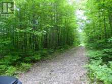 50 ACRES IN MUSKOKA NORTH OF BALA - PCL 31045 | Bala Ontario | Slide Image Two