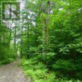 50 ACRES IN MUSKOKA NORTH OF BALA - PCL 31045 | Bala Ontario | Slide Image Three