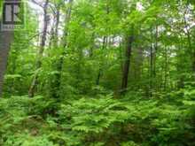 50 ACRES IN MUSKOKA NORTH OF BALA - PCL 31045 | Bala Ontario | Slide Image Four