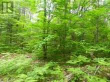 50 ACRES IN MUSKOKA NORTH OF BALA - PCL 31045 | Bala Ontario | Slide Image Five