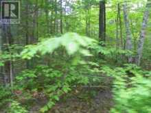 50 ACRES IN MUSKOKA NORTH OF BALA - PCL 31045 | Bala Ontario | Slide Image Six