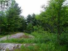 50 ACRES IN MUSKOKA NORTH OF BALA - PCL 31045 | Bala Ontario | Slide Image Eight