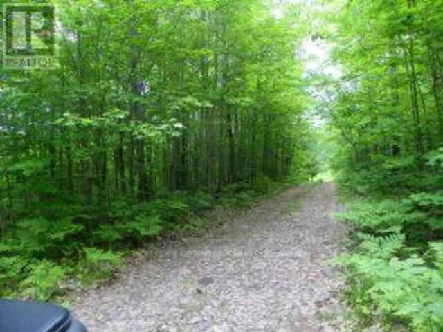 50 ACRES IN MUSKOKA NORTH OF BALA - PCL 31045 Bala Ontario, P0C 1A0 - Vacant Land For Sale
