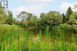 23983 WEIRS SIDE ROAD | Georgina Ontario | Slide Image Nine