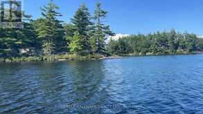 1039 SNIDERS BAY ROAD | Gravenhurst Ontario | Slide Image Eighteen