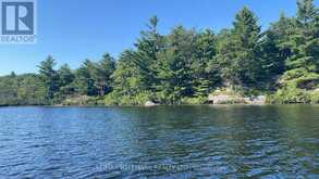 1039 SNIDERS BAY ROAD | Gravenhurst Ontario | Slide Image Nineteen
