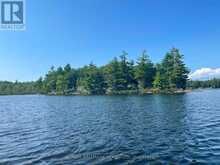 1039 SNIDERS BAY ROAD | Gravenhurst Ontario | Slide Image Twenty-two