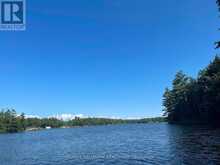 1039 SNIDERS BAY ROAD | Gravenhurst Ontario | Slide Image Twenty-nine