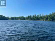 1039 SNIDERS BAY ROAD | Gravenhurst Ontario | Slide Image Thirty-four