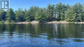 1039 SNIDERS BAY ROAD | Gravenhurst Ontario | Slide Image Thirty-five