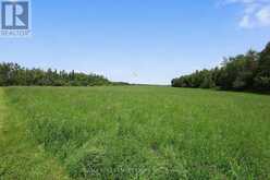398019 5TH LINE | Melancthon Ontario | Slide Image Forty-six