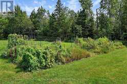 398019 5TH LINE | Melancthon Ontario | Slide Image Forty-seven