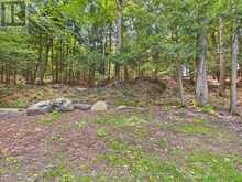1550 MARY LAKE ROAD | Huntsville Ontario | Slide Image Ten