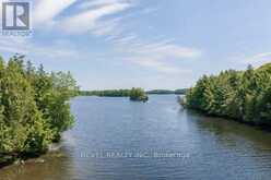 46 LORI-LEA TRAIL | McDougall Ontario | Slide Image Nine