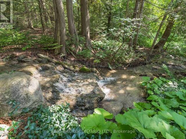 30725 HOCKLEY ROAD Mono Ontario, L9W 6N7 - Vacant Land For Sale