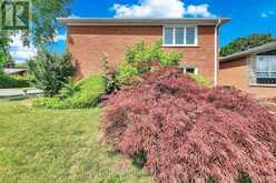 88 PECKHAM AVENUE | Toronto Ontario | Slide Image Forty-eight
