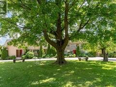 995611 MONO-ADJALA TOWNLINE Adjala-Tosorontio Ontario, L0N 1R0