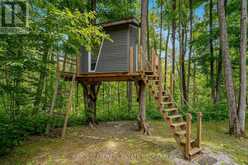 11 SNOWSHOE TRAIL | Oro-Medonte Ontario | Slide Image Forty-two