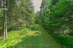 349805 4TH CONCESSION B CONCESSION | Grey Highlands Ontario | Slide Image Thirty-nine