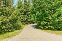 349805 4TH CONCESSION B CONCESSION | Grey Highlands Ontario | Slide Image Forty