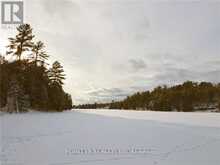 1322 BOOMHAUER ROAD | Arden Ontario | Slide Image Nine