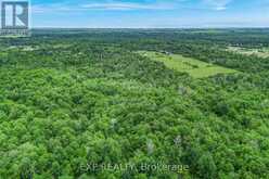 22262 HIGHWAY 48 | East Gwillimbury Ontario | Slide Image Six