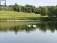 3177 SHELTER VALLEY ROAD | Alnwick-Haldimand Ontario | Slide Image Thirteen