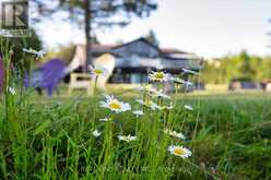 501219 GREY ROAD 1 ROAD | Georgian Bluffs Ontario | Slide Image Eight