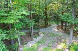 111 GAZELLE TRAIL | Apsley Ontario | Slide Image Thirty-nine