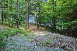 111 GAZELLE TRAIL | Apsley Ontario | Slide Image Forty-one