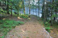 111 GAZELLE TRAIL | Apsley Ontario | Slide Image Forty-two