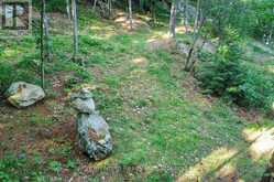 111 GAZELLE TRAIL | Apsley Ontario | Slide Image Forty-three
