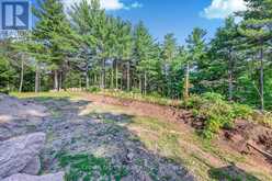 119 GAZELLE TRAIL | Apsley Ontario | Slide Image Eleven