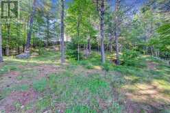119 GAZELLE TRAIL | Apsley Ontario | Slide Image Twelve