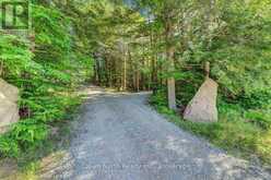 119 GAZELLE TRAIL | Apsley Ontario | Slide Image Two