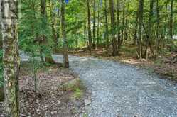 119 GAZELLE TRAIL | Apsley Ontario | Slide Image Thirty-one